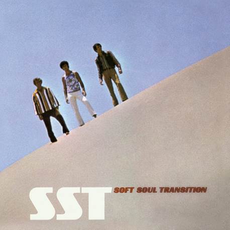 SOFT SOUL TRANSITION - SST - Sounds of Subterrania