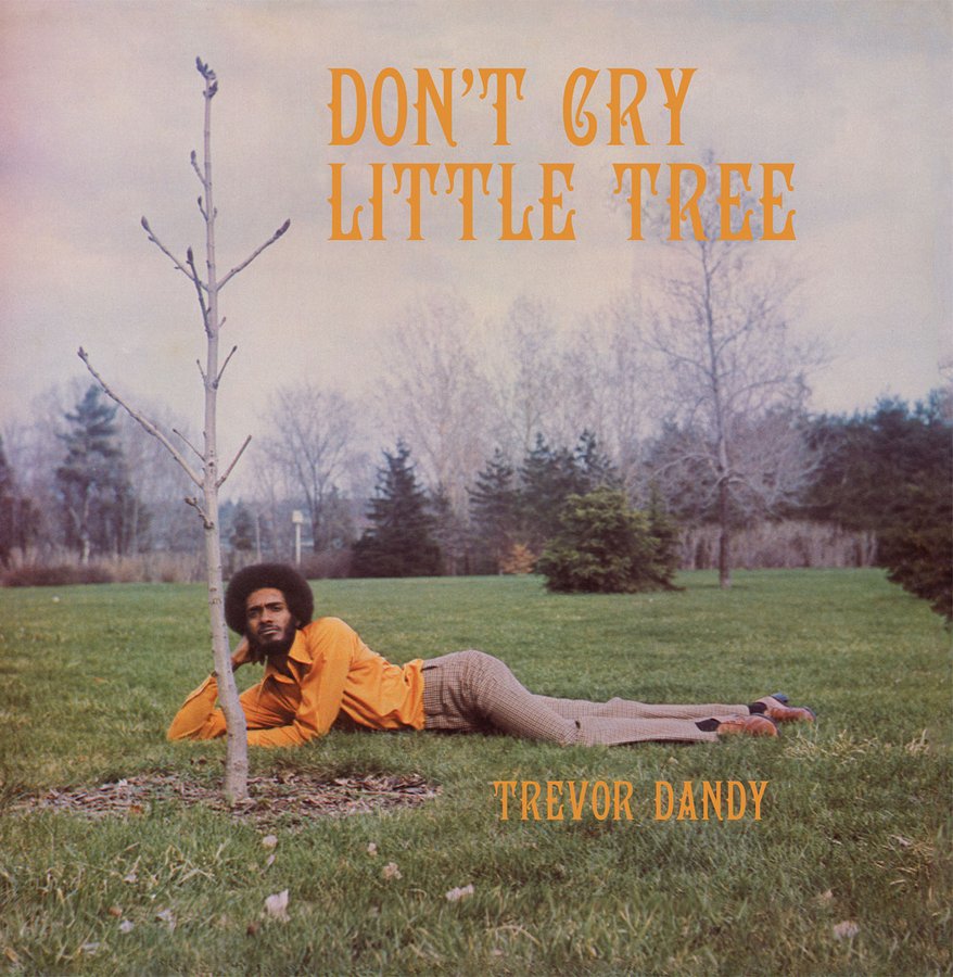 TREVOR DANDY - Don't Cry Little Tree
