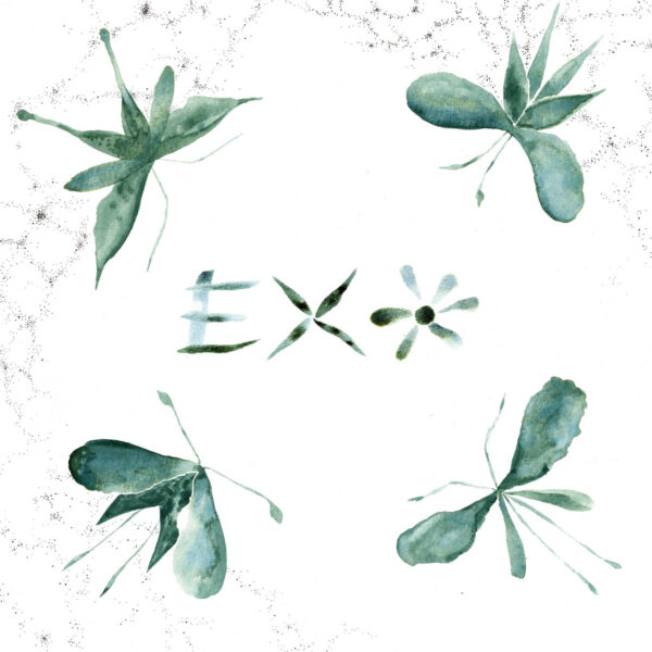 EXO - s/t